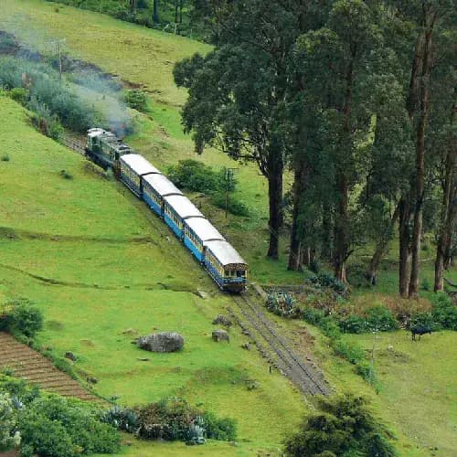 Ooty Hills & Tea Gardens